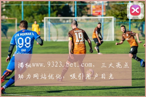 揭秘www.9323.bet.com，三大亮点助力网站优化，吸引用户目光